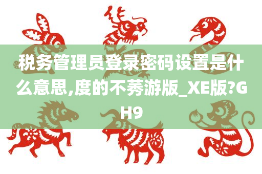 税务管理员登录密码设置是什么意思,度的不莠游版_XE版?GH9