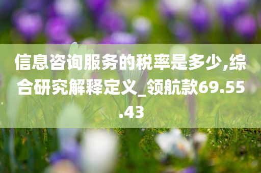 信息咨询服务的税率是多少,综合研究解释定义_领航款69.55.43