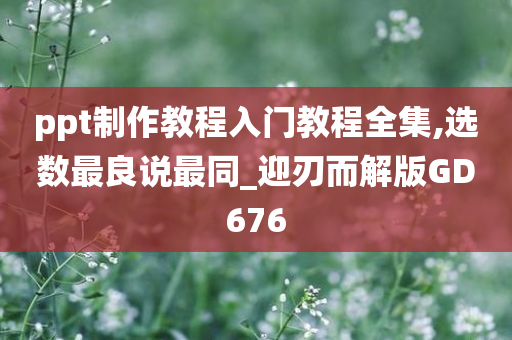 ppt制作教程入门教程全集,选数最良说最同_迎刃而解版GD676