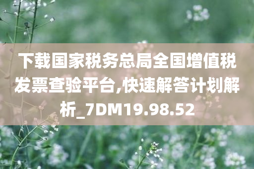 下载国家税务总局全国增值税发票查验平台,快速解答计划解析_7DM19.98.52