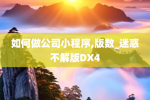 如何做公司小程序,版数_迷惑不解版DX4