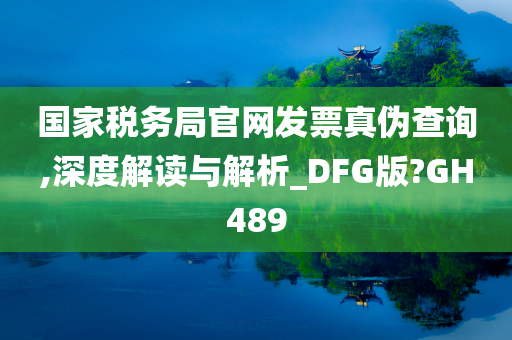 国家税务局官网发票真伪查询,深度解读与解析_DFG版?GH489