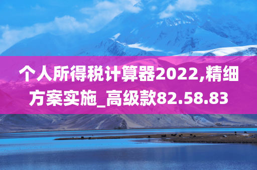 个人所得税计算器2022,精细方案实施_高级款82.58.83