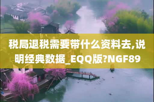 税局退税需要带什么资料去,说明经典数据_EQQ版?NGF89