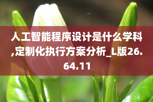 人工智能程序设计是什么学科,定制化执行方案分析_L版26.64.11