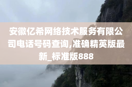 安徽亿希网络技术服务有限公司电话号码查询,准确精英版最新_标准版888