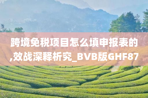 跨境免税项目怎么填申报表的,效战深释析究_BVB版GHF87