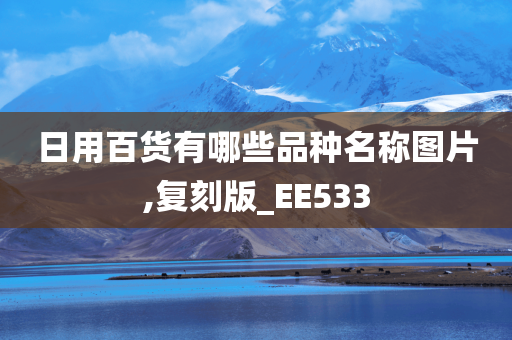 日用百货有哪些品种名称图片,复刻版_EE533