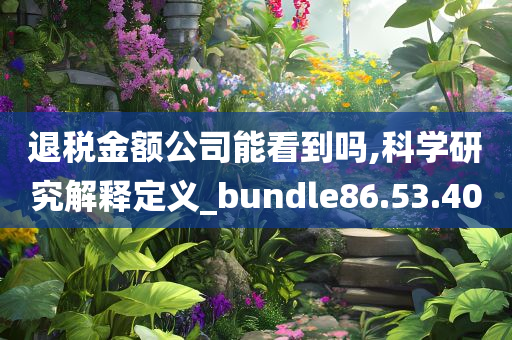 退税金额公司能看到吗,科学研究解释定义_bundle86.53.40