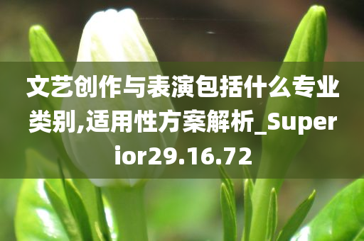 文艺创作与表演包括什么专业类别,适用性方案解析_Superior29.16.72