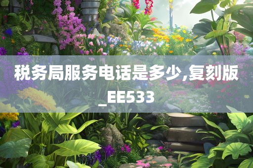 税务局服务电话是多少,复刻版_EE533