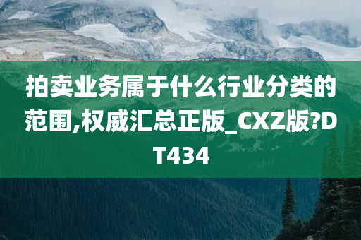 拍卖业务属于什么行业分类的范围,权威汇总正版_CXZ版?DT434