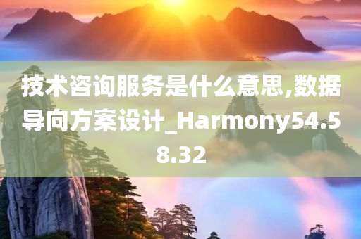 技术咨询服务是什么意思,数据导向方案设计_Harmony54.58.32