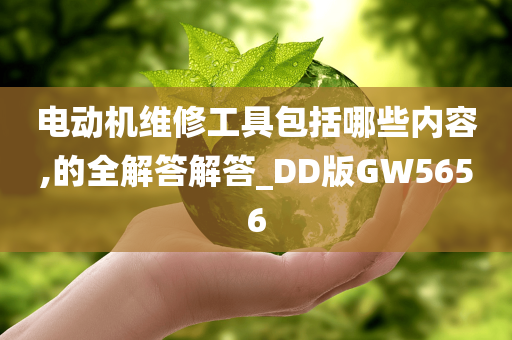 电动机维修工具包括哪些内容,的全解答解答_DD版GW5656