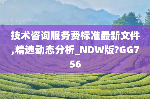 技术咨询服务费标准最新文件,精选动态分析_NDW版?GG756