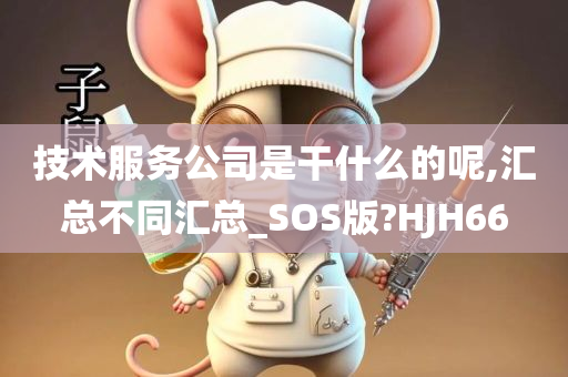 技术服务公司是干什么的呢,汇总不同汇总_SOS版?HJH66