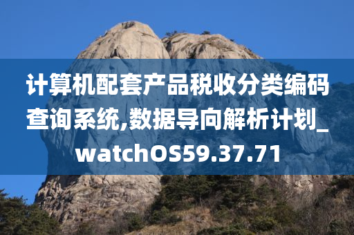 计算机配套产品税收分类编码查询系统,数据导向解析计划_watchOS59.37.71