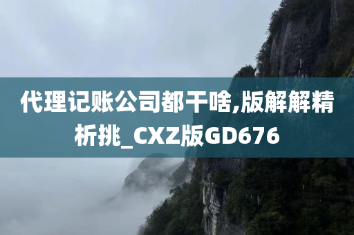 代理记账公司都干啥,版解解精析挑_CXZ版GD676