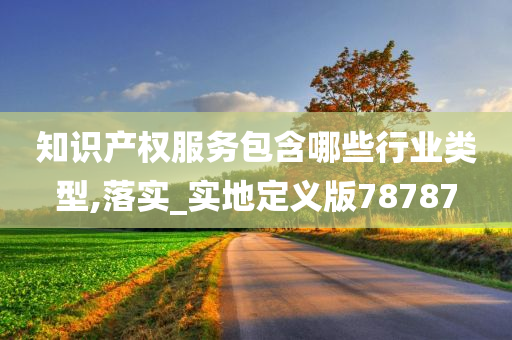 知识产权服务包含哪些行业类型,落实_实地定义版78787