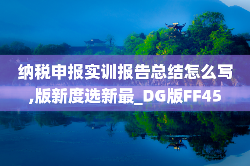 纳税申报实训报告总结怎么写,版新度选新最_DG版FF45