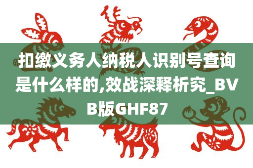 扣缴义务人纳税人识别号查询是什么样的,效战深释析究_BVB版GHF87