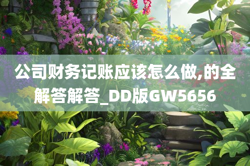 公司财务记账应该怎么做,的全解答解答_DD版GW5656