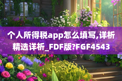 个人所得税app怎么填写,详析精选详析_FDF版?FGF4543