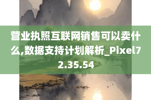 营业执照互联网销售可以卖什么,数据支持计划解析_Pixel72.35.54