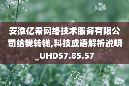 安徽亿希网络技术服务有限公司给我转钱,科技成语解析说明_UHD57.85.57