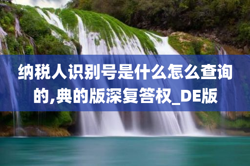 纳税人识别号是什么怎么查询的,典的版深复答权_DE版