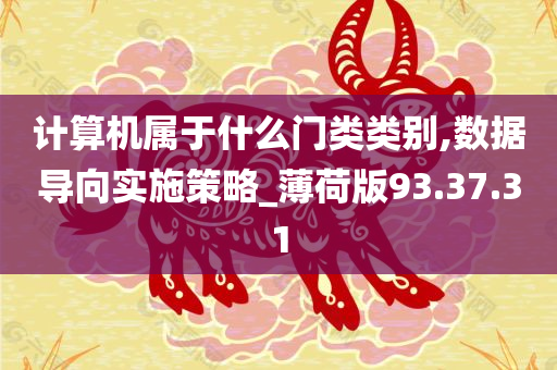 计算机属于什么门类类别,数据导向实施策略_薄荷版93.37.31