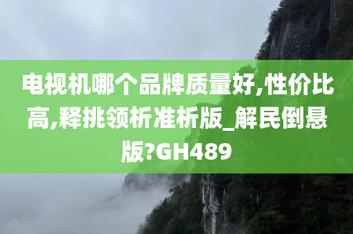 电视机哪个品牌质量好,性价比高,释挑领析准析版_解民倒悬版?GH489