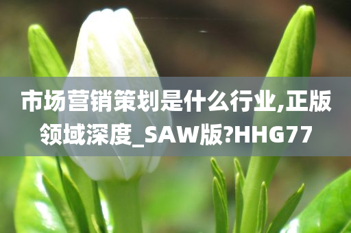 市场营销策划是什么行业,正版领域深度_SAW版?HHG77