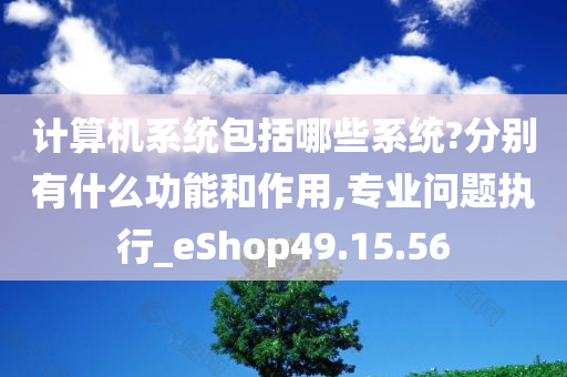 计算机系统包括哪些系统?分别有什么功能和作用,专业问题执行_eShop49.15.56