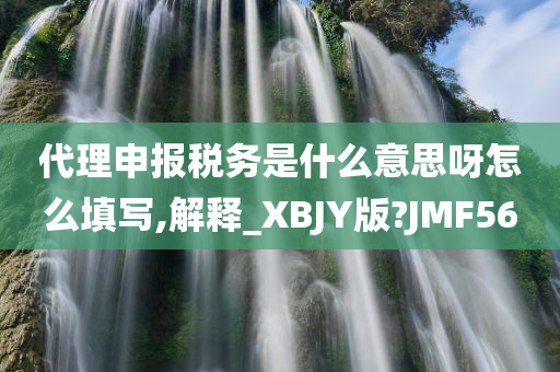 代理申报税务是什么意思呀怎么填写,解释_XBJY版?JMF56