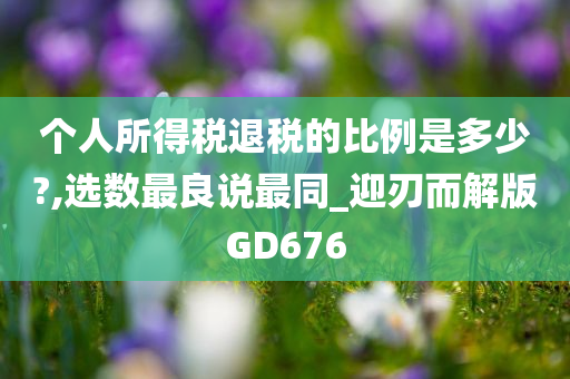 个人所得税退税的比例是多少?,选数最良说最同_迎刃而解版GD676