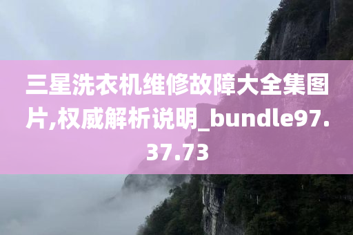 三星洗衣机维修故障大全集图片,权威解析说明_bundle97.37.73