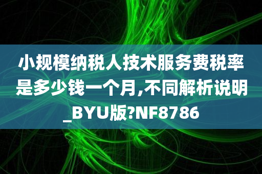 小规模纳税人技术服务费税率是多少钱一个月,不同解析说明_BYU版?NF8786