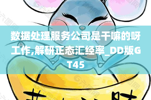 数据处理服务公司是干嘛的呀工作,解研正态汇经率_DD版GT45