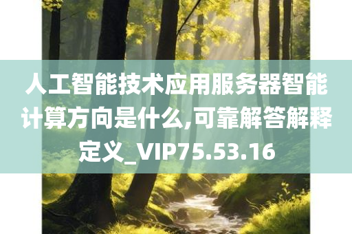 人工智能技术应用服务器智能计算方向是什么,可靠解答解释定义_VIP75.53.16