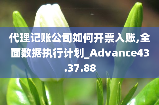 代理记账公司如何开票入账,全面数据执行计划_Advance43.37.88