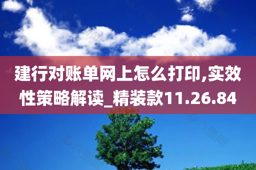 建行对账单网上怎么打印,实效性策略解读_精装款11.26.84