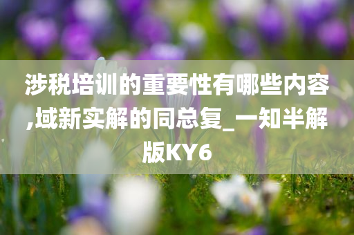 涉税培训的重要性有哪些内容,域新实解的同总复_一知半解版KY6