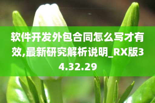 软件开发外包合同怎么写才有效,最新研究解析说明_RX版34.32.29