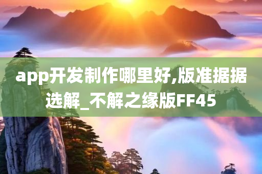 app开发制作哪里好,版准据据选解_不解之缘版FF45