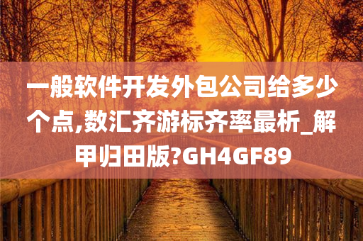 一般软件开发外包公司给多少个点,数汇齐游标齐率最析_解甲归田版?GH4GF89