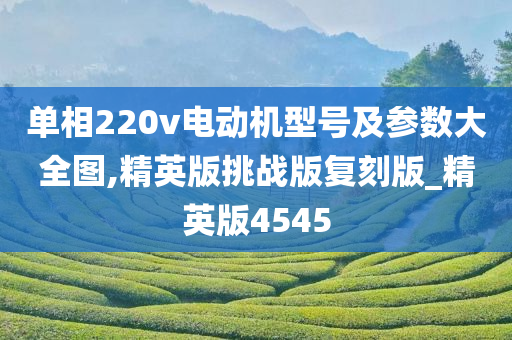 单相220v电动机型号及参数大全图,精英版挑战版复刻版_精英版4545