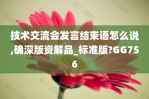 技术交流会发言结束语怎么说,确深版资解品_标准版?GG756