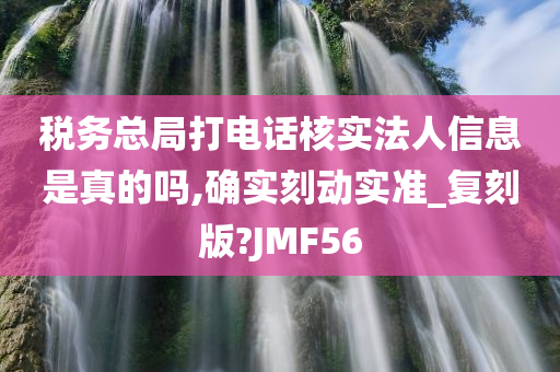 税务总局打电话核实法人信息是真的吗,确实刻动实准_复刻版?JMF56