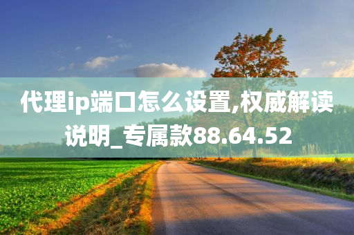 代理ip端口怎么设置,权威解读说明_专属款88.64.52